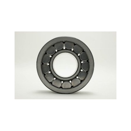 Cylindrical Roller Bearing, NJ2308V C3